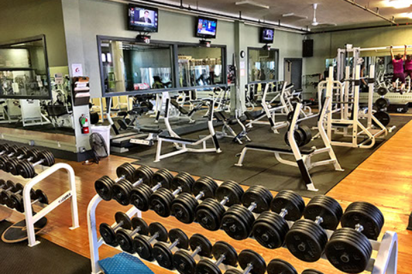 Gymnasium